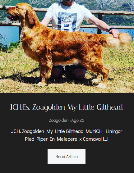 Zoagolden Perfil