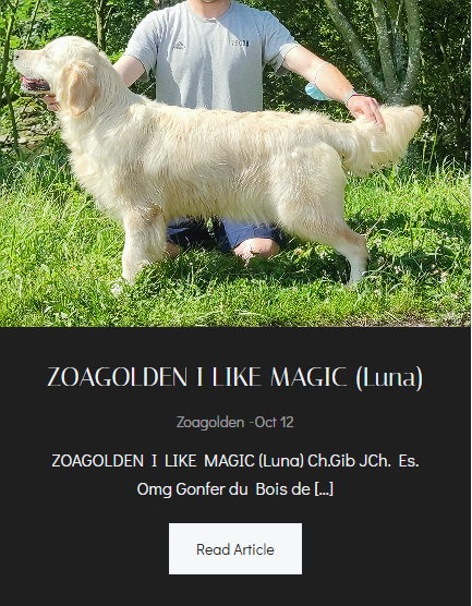 ZOAGOLDEN I LIKE MAGIC (Luna) - Foto Principal