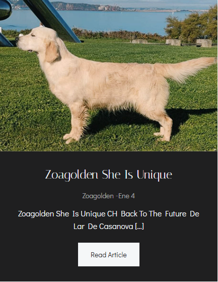 Zoagolden She Is Unique - Foto Principal