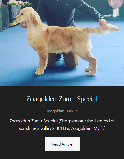 Zoagolden Zuma Special - Foto Principal