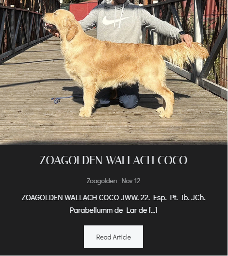 ZOAGOLDEN WALLACH COCO - Foto Principal