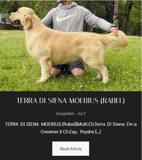 TERRA DI SIENA MOEBIUS (Rabel) - Foto Principal