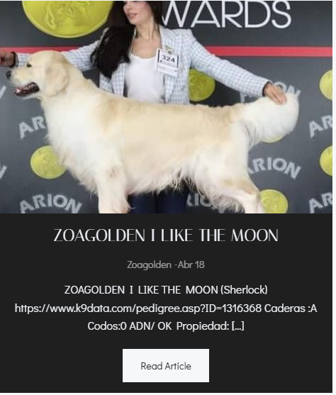 ZOAGOLDEN I LIKE THE MOON (Sherlock) - Foto Principal